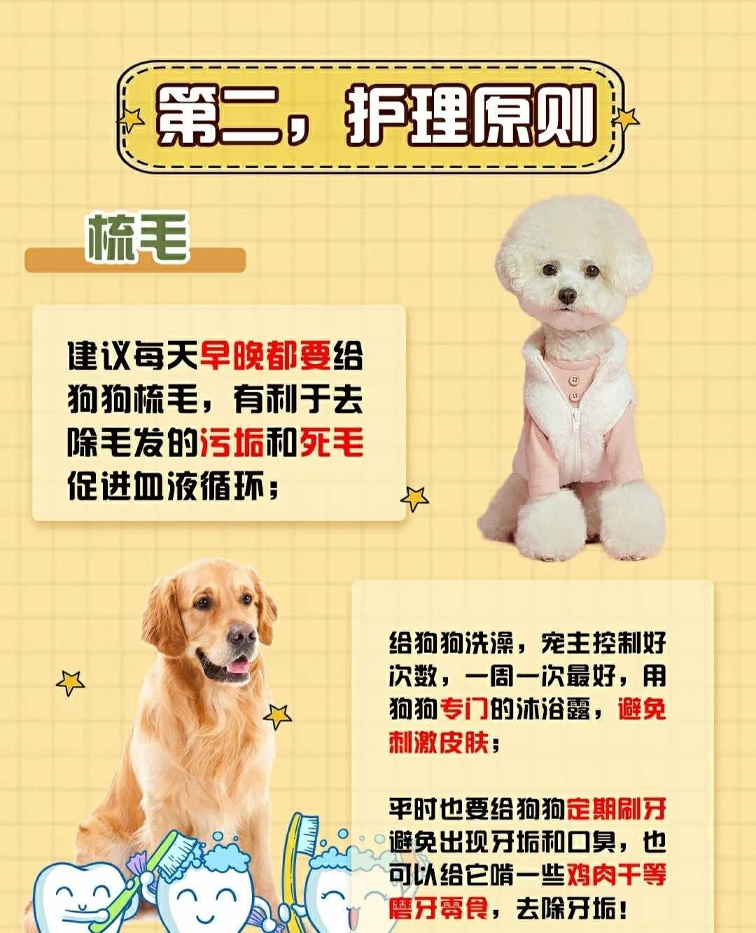 精品锤系德牧幼犬 锤系德国牧羊犬北京德牧犬舍